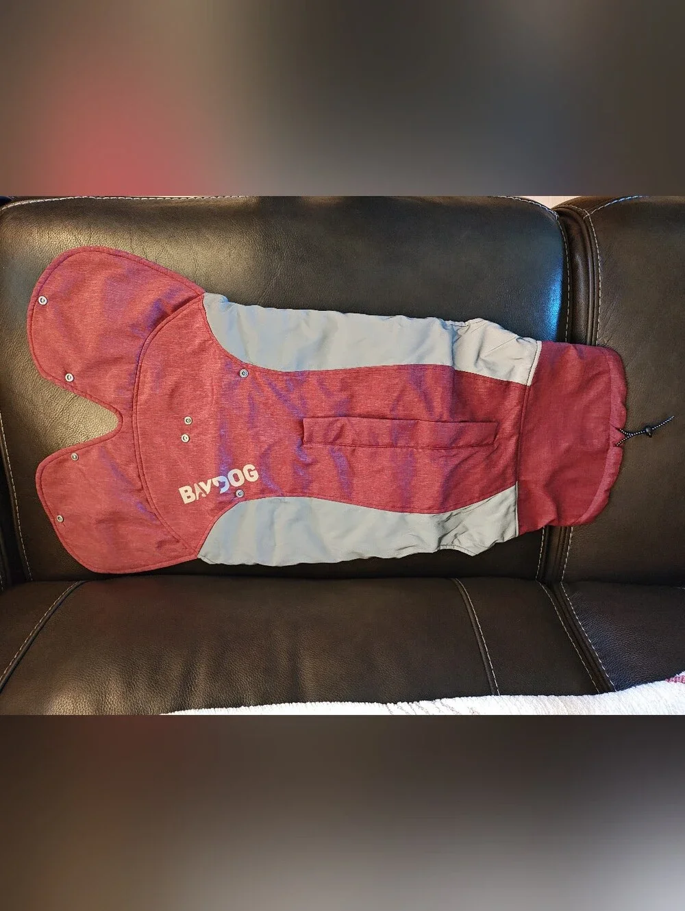 Glacier Bay Dog Coat